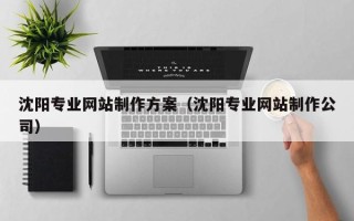 保山沈阳专业网站制作方案（沈阳专业网站制作公司）